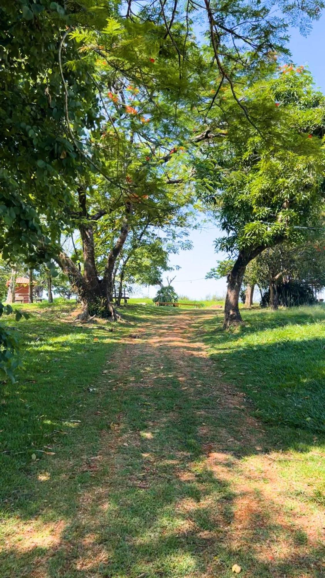 Hotel Fazenda Ararita Porto Feliz Ngoại thất bức ảnh